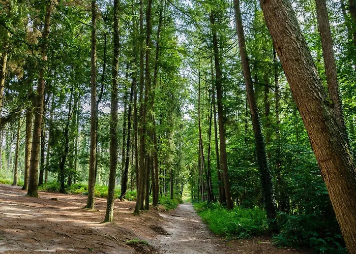 Bodenstein * Surwold